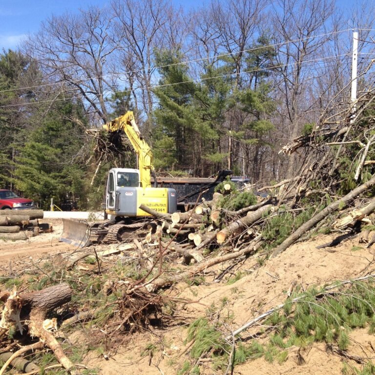 Excavator clearing brush on a new build lot