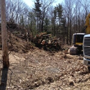 Excavator loading a dump truck on a site work job