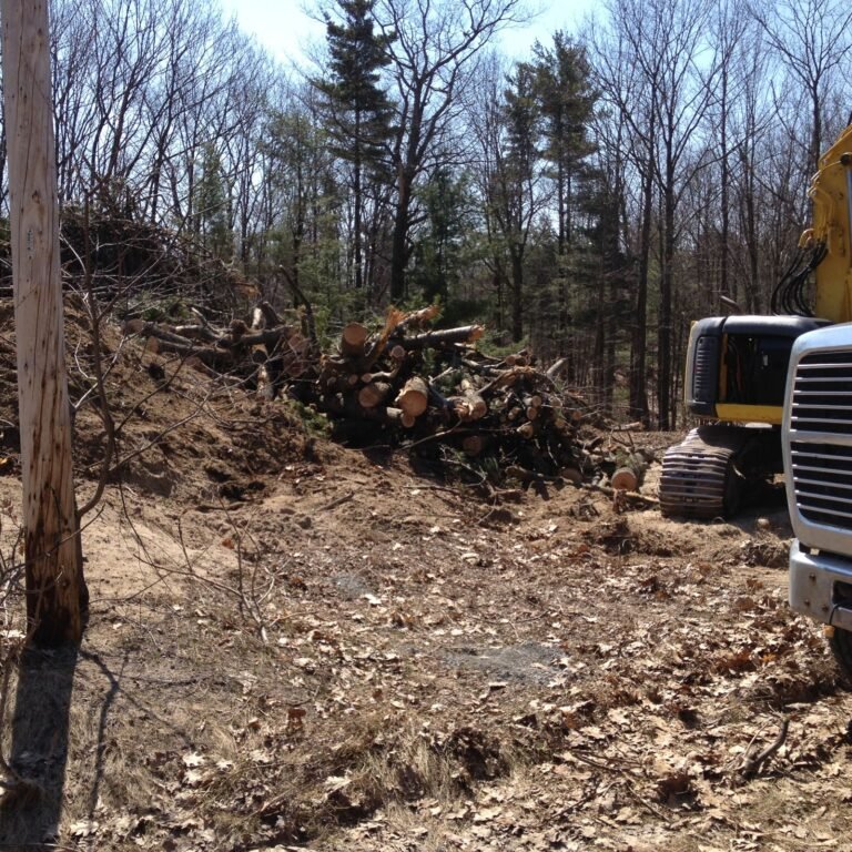 Excavator loading a dump truck on a site work job